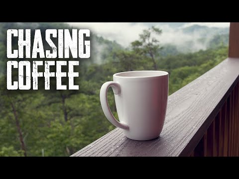 Coffee at 10,000 Feet | Colombia - Chasing Coffee