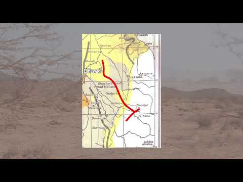 El Hawad Project Movie 2019 Arabic