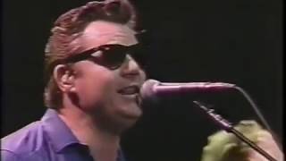 Steve Miller - True Fine Love