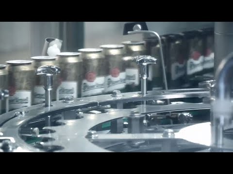 Enchimento de latas Innofill Can DVD em Plzeňský Prazdroj a.s. (Cervejaria Pilsner Urquell)