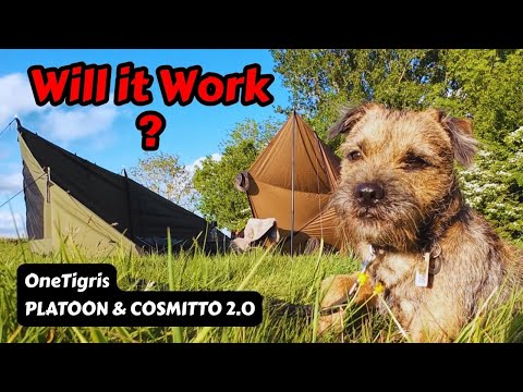 Combining Two OneTigris Tents – Does It Actually Work?