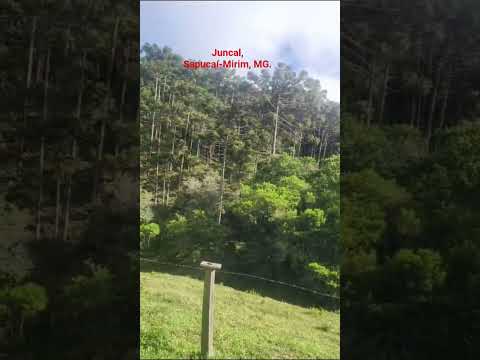 Nossa segunda parada foi em Sapucaí-Mirim, MG, e ganhamos de presente esse som maravilhoso