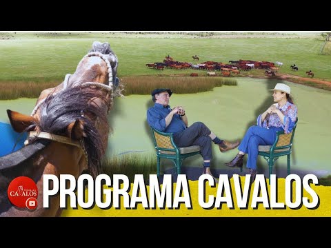 The Successor Stallion of Jakarta in the Criollo Horse Breeding Program at Capanegra