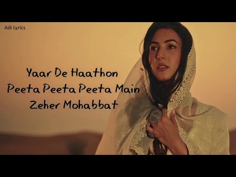 (LYRICS): Zeher Mohabbat - Afsana Khan| Sonal Chauhan|Taha Badussha| Lakshay - Siddharth| Dhrruv