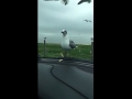 Two Seagulls Fight For A Fry