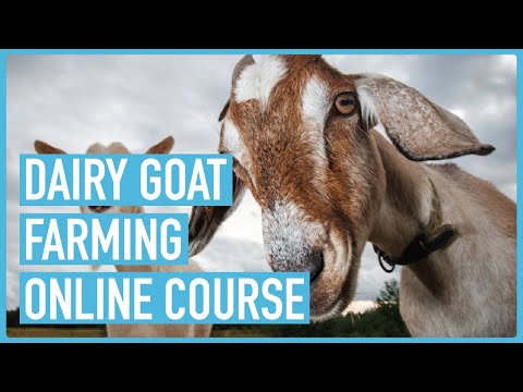 Profitable Pig Farming and Best Practices for success Course Outline