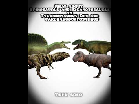what about Giganotosaurus and spinosaurus vs tyrannosaurus Rex and carcharodontosaurus #dinosaur