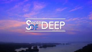 Burial - Shell Of Light (Louis La Roche Remix)