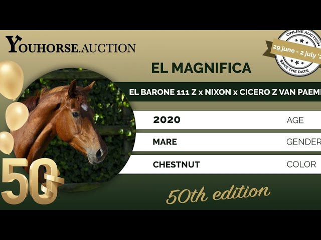 El Magnifica
