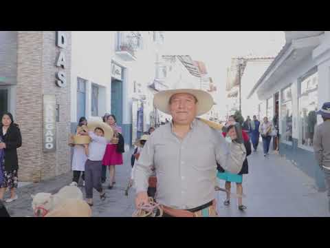 Feliz día del maestro, video de YouTube
