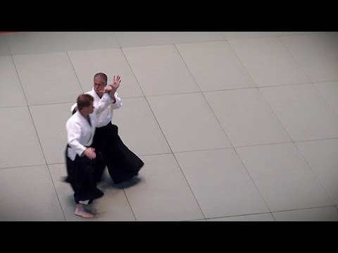 Aikido - Miyamoto Tsuruzo Shihan - 51st All Japan Aikido Demonstration 2013