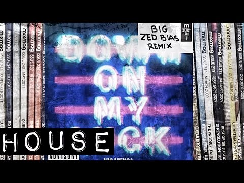 VIC MENSA - Down On My Luck (ZED BIAS Remix)