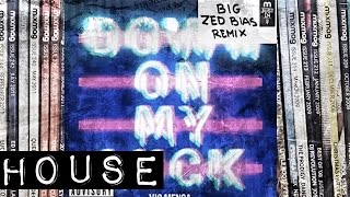 VIC MENSA - Down On My Luck (ZED BIAS Remix)