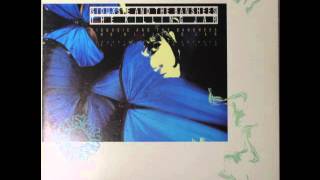 Siouxsie and the Banshees - The Killing Jar (Lepidopteristic Mix) (1988) (Audio)