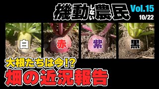 種まきから47日！あの大根たちは今！？と言いつつ飯を喰らう。