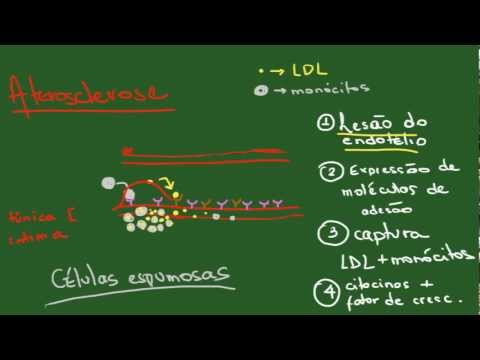 Degenerações Parte 1 (Acúmulos Intracelulares) - Resumo - Patologia