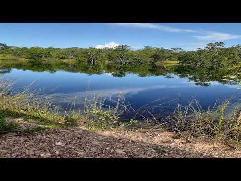 FAZENDA À VENDA – REGIÃO DE DIANÓPOLIS / TOCANTINS