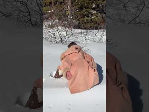 Cryotherapy has incredible benefits for the body.