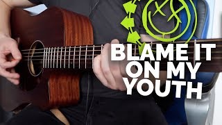 blink-182 - Blame It On My Youth (Acoustic Cover)