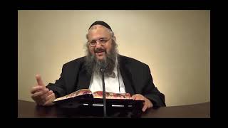 חוק לישראל - פרשת נח - יום חמישי | הרב שלמה לוינשטיין (ארגון קול הלשון) - התמונה מוצגת ישירות מתוך אתר האינטרנט יוטיוב. זכויות היוצרים בתמונה שייכות ליוצרה. קישור קרדיט למקור התוכן נמצא בתוך דף הסרטון חוק לישראל - פרשת נח - יום חמישי | הרב שלמה לוינשטיין (ארגון קול הלשון) - התמונה מוצגת ישירות מתוך אתר האינטרנט יוטיוב. זכויות היוצרים בתמונה שייכות ליוצרה. קישור קרדיט למקור התוכן נמצא בתוך דף הסרטון