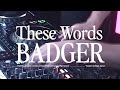Badger, Natasha Bedingfield - These Words [Ultra Records]