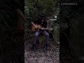 Kite Woman by JD Souther (cover) #shorts #music #70s