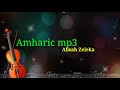 Abush Zeleke Top Amharic Music 03