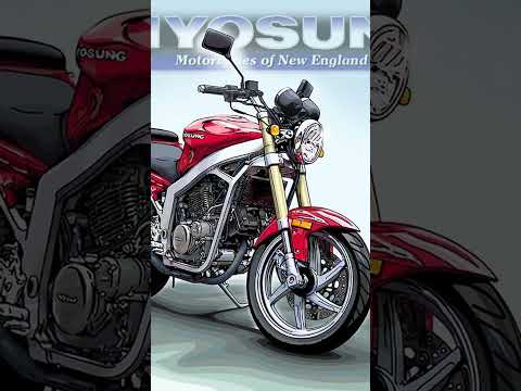 Hyosung Rally - Video 1