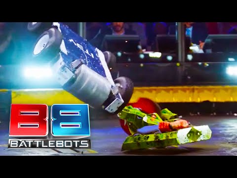Can DeathRoll Continue its Winning Streak? | BattleBots