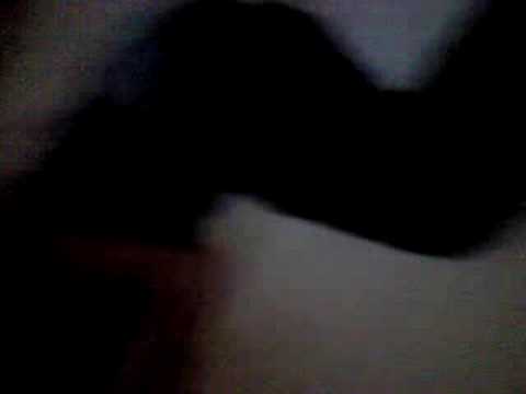 woelie woelie vs tandpasta