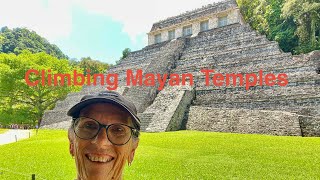#219 Mayan Ruins in Palenque