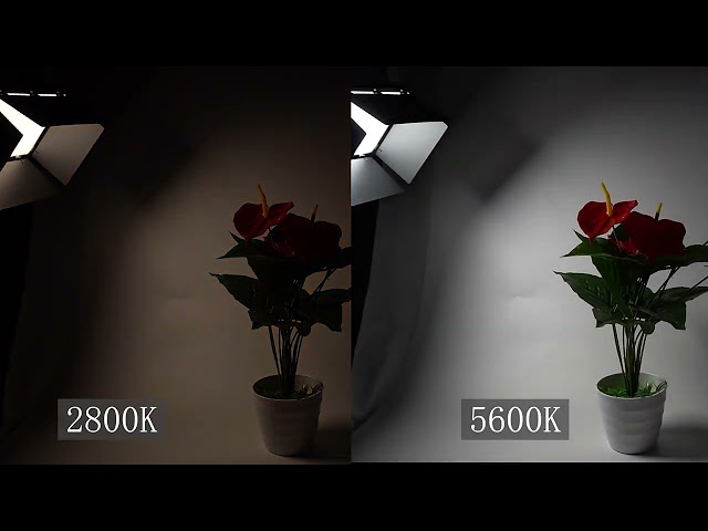 عدة إضاءة استديو تصوير