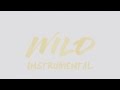 Troye Sivan - WILD (OFFICIAL INSTRUMENTAL w ...