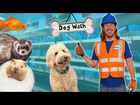Petsupplys Plus