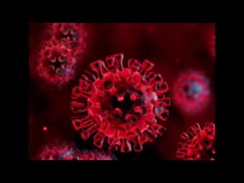 Boora ft  Katinski  - Covid 22