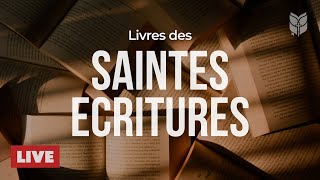 🔴 La Bible en Français 24/7 En Direct — La Parole de Dieu vivante | BibleVision Français