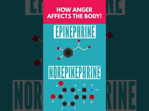 How Anger Affects Your Body! 😡