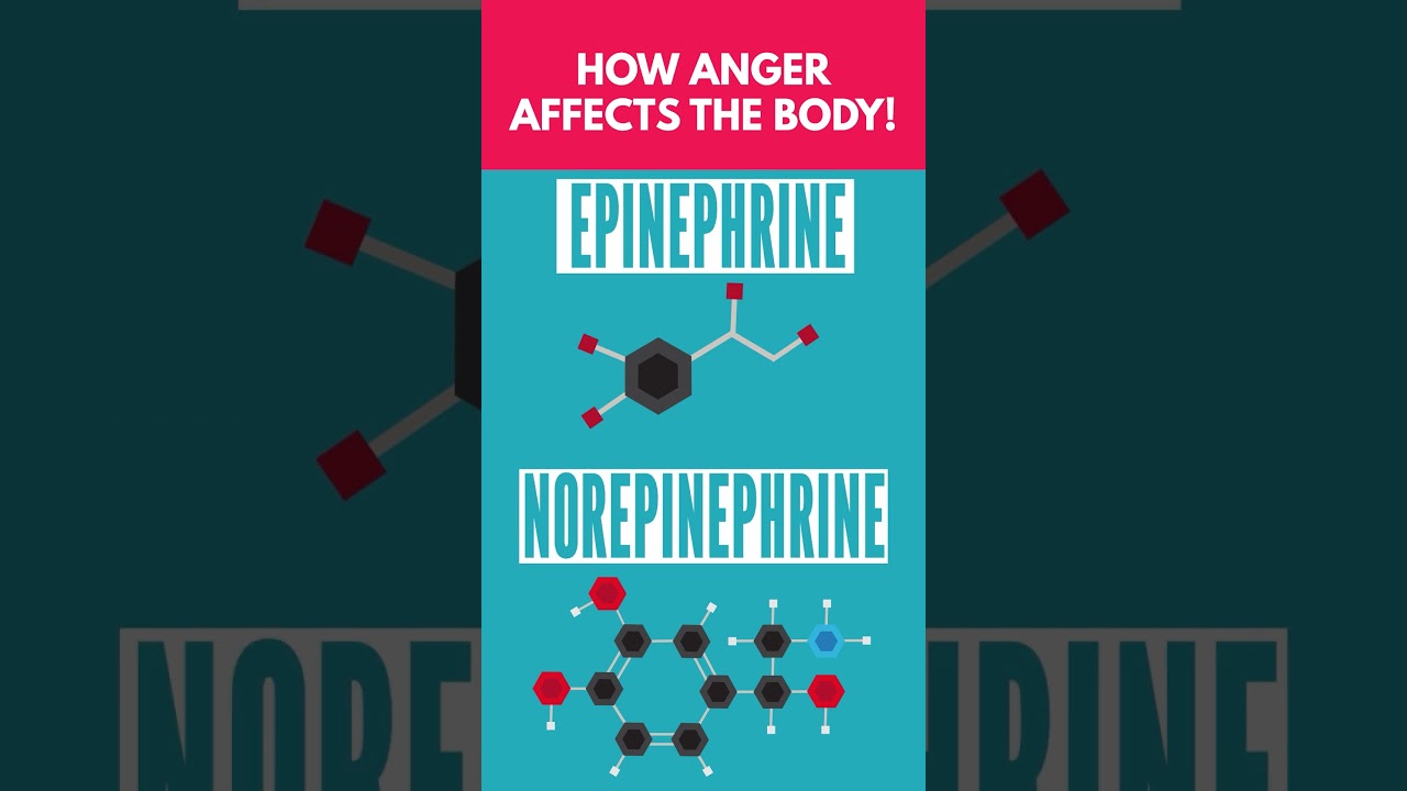 How Anger Affects Your Body! 😡