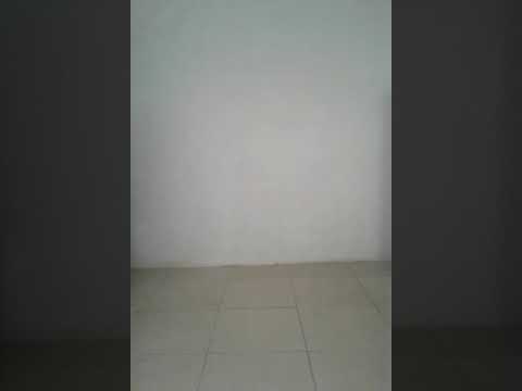 Mc gw e mc novin passarinho que e som e esse