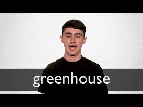 Hindi Translation Of Greenhouse Collins English Hindi Dictionary Hindi Translation Of Greenhouse Collins English Hindi Dictionary