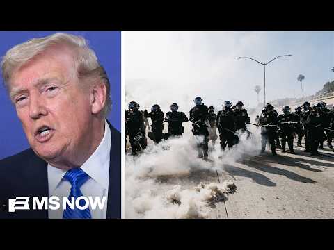 How Trump’s ICE raids sparked a small business CRISIS in LA