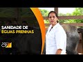 Curso Administração da Pequena Empresa Rural