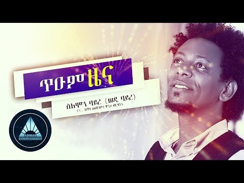 Solomon Bayre - Tium Zena (Official Audio) | Ethiopian Tigrigna Music