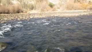 French Nymphing Coil in ACTION