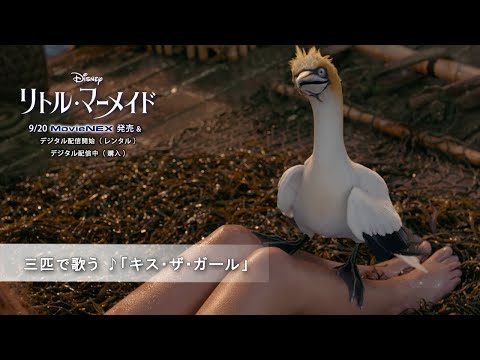 「リトル・マーメイド」 三匹で歌う ♪「キス・ザ・ガール」（字幕版）