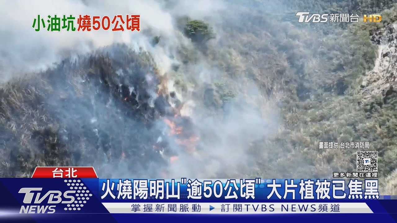 火燒小油坑兇手曝 燒到焦黑聳立山壁上