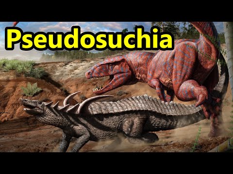 Pseudosuchia: An Overview Of The Prehistoric Relatives Of Crocodilians