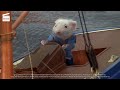 Stuart Little Captain Stuart