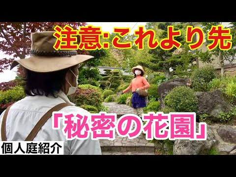 壁を覆うつる性植物: どの種を選ぶべきですか?  庭園