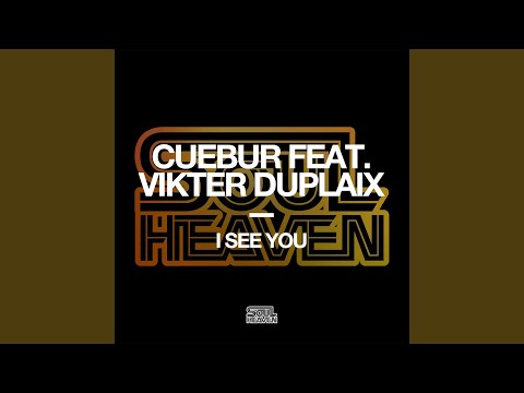I See You (feat. Vikter Duplaix)